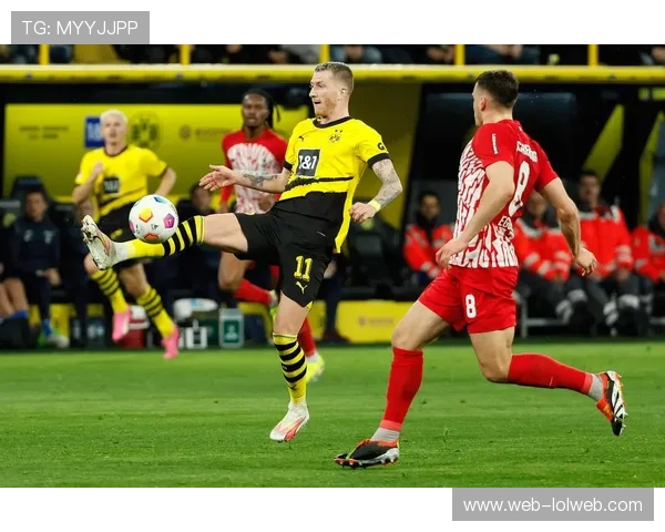 德甲第10轮比赛日前，各主场球迷热情高涨